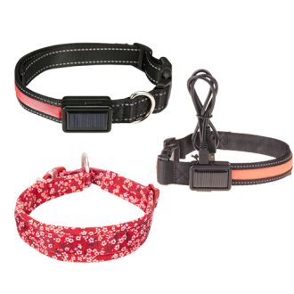 Dog Collars