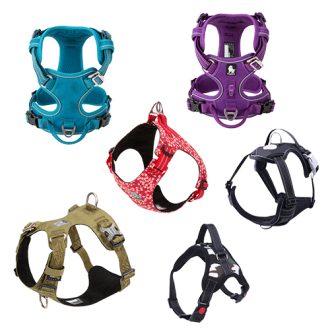 Dogs Harnesses